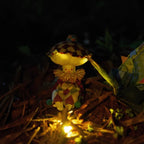 Harlequin Mushroom Kit