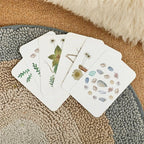 Outdoor Explorer Kit