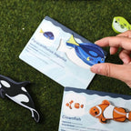 Magnetic Fishing Toy