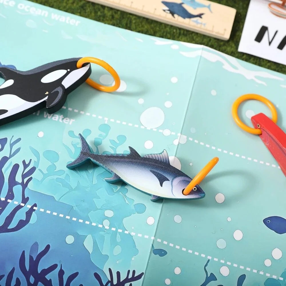 Magnetic Fishing Toy